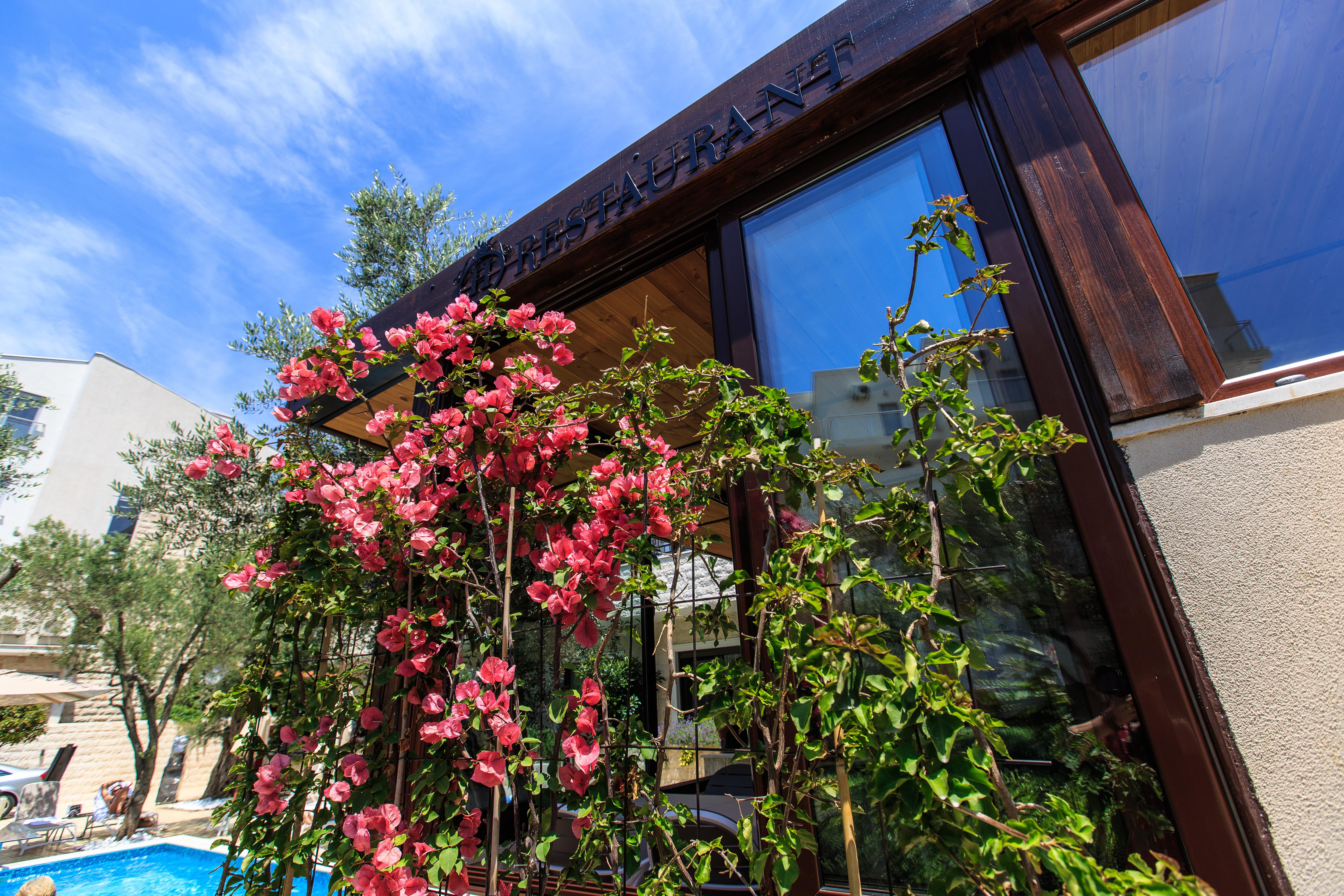 Hotel Harmony By Aycon Petrovac المظهر الخارجي الصورة